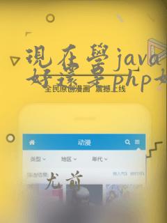 现在学java好还是php好
