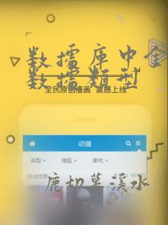数据库中金额的数据类型