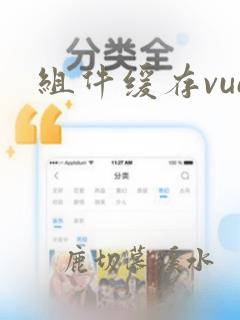 组件缓存vue