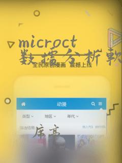 microct数据分析软件