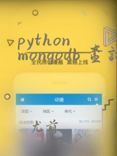 python mongodb 查询