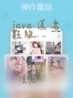 java 匿名数组
