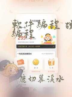 软件编程 硬件编程