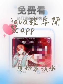 java程序开发app