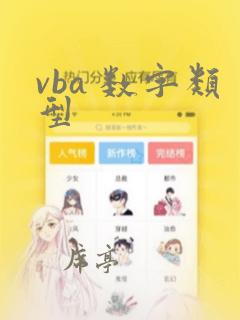 vba 数字类型