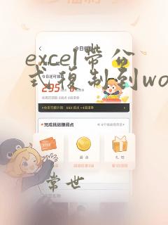 excel带公式复制到word