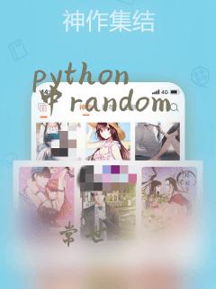 python 中random