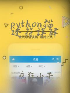 python描述符详解