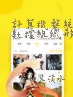 计算机系统中的数据组织形式
