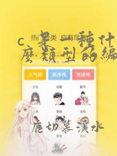 c  是一种什么类型的编程语言