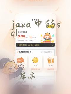 java中的sql