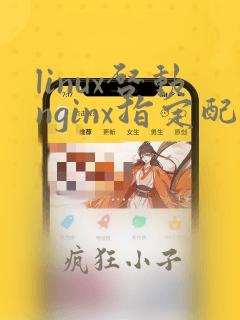 linux启动nginx指定配置文件