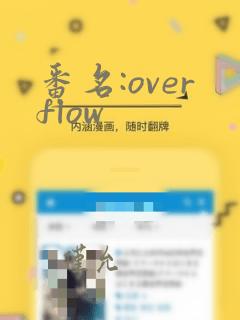 番名:overflow