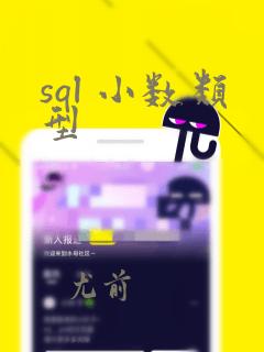 sql 小数类型