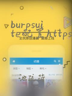 burpsuite配置https抓包