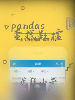 pandas 查找数据
