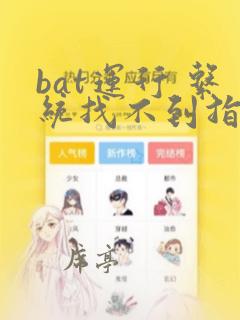 bat运行 系统找不到指定的文件
