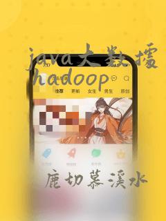 java大数据 hadoop