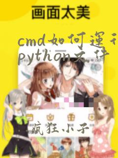 cmd如何运行python文件