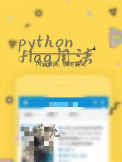 python flag用法