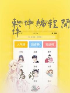 软件编程开发软件