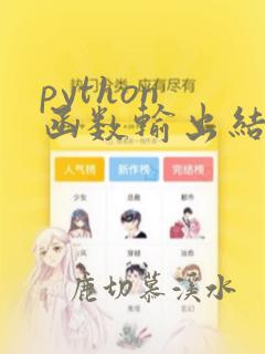 python 函数输出结果