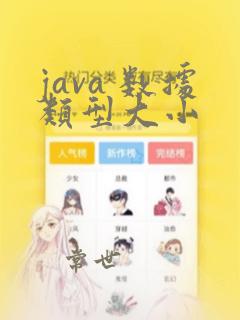 java 数据类型大小