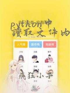 python中读取文件内容