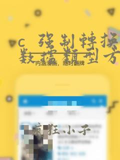 c  强制转换数据类型方法