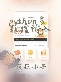 python多数据输入