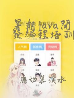 暑期java开发编程培训班