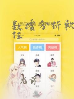 数据分析软件价位