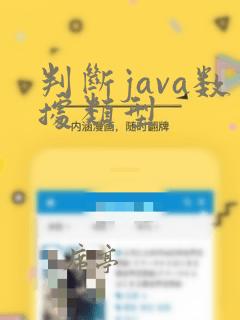判断java数据类型