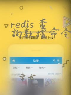 redis 查询数据命令