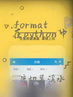 .format在python中的用法