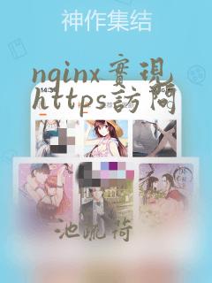 nginx实现https访问