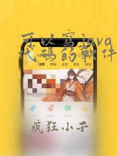 可以写java代码的软件