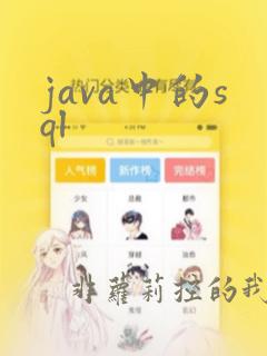 java中的sql