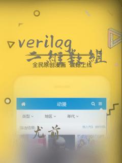 verilog 二维数组
