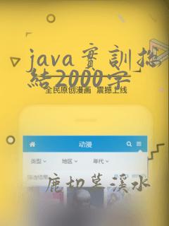 java实训总结2000字