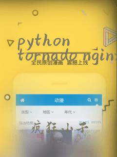 python tornado nginx