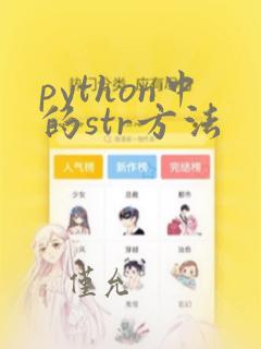 python中的str方法