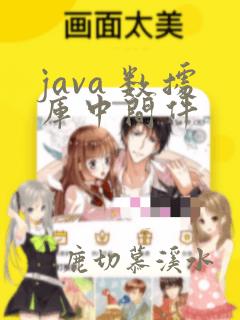 java 数据库中间件