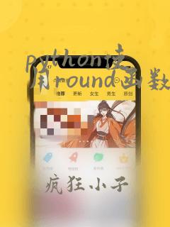 python使用round函数