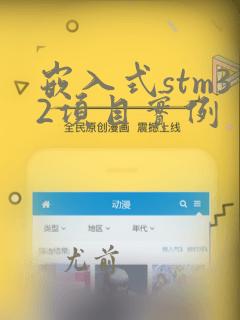 嵌入式stm32项目实例
