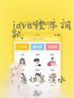 java程序调试