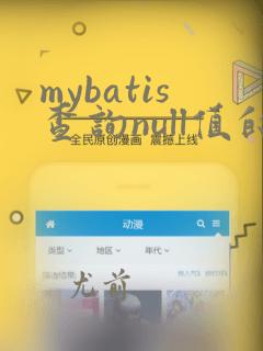 mybatis查询null值的数据