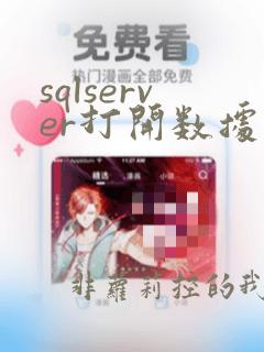sqlserver打开数据库