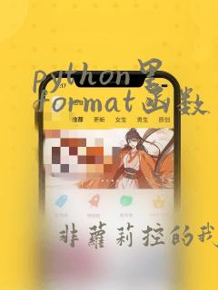python里format函数