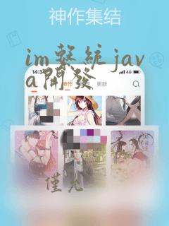 im系统java开发